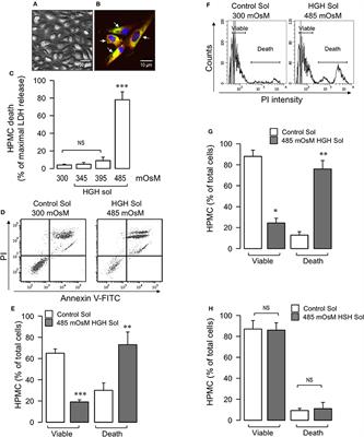 Human Peritoneal Mesothelial Cell Death Induced by High-Glucose Hypertonic Solution Involves Ca2+ and Na+ Ions and Oxidative Stress with the Participation of PKC/NOX2 and PI3K/Akt Pathways